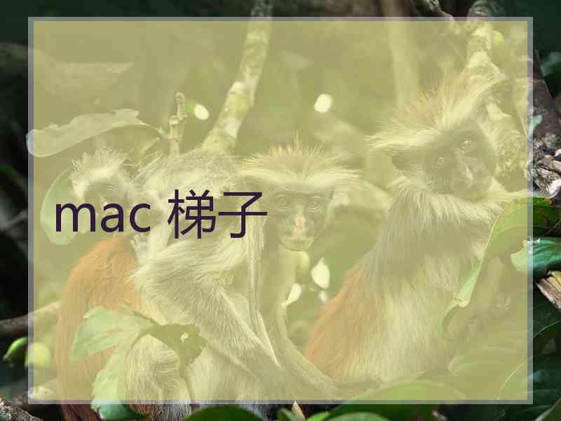 mac 梯子