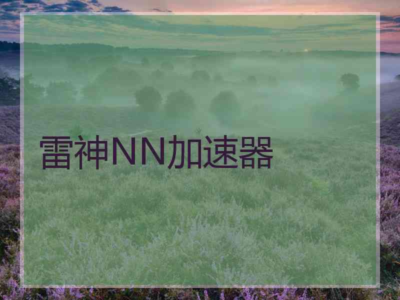 雷神NN加速器