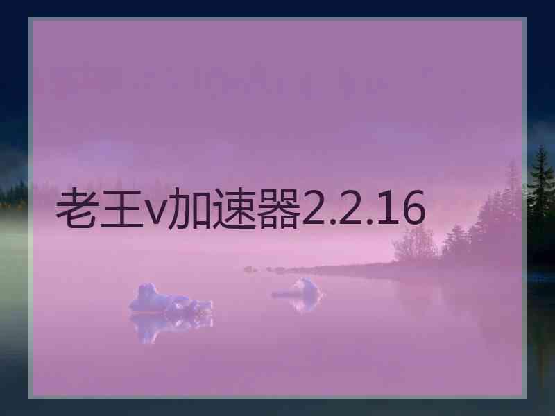 老王v加速器2.2.16