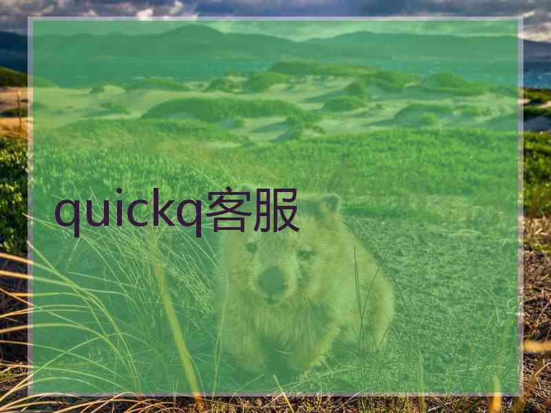quickq客服