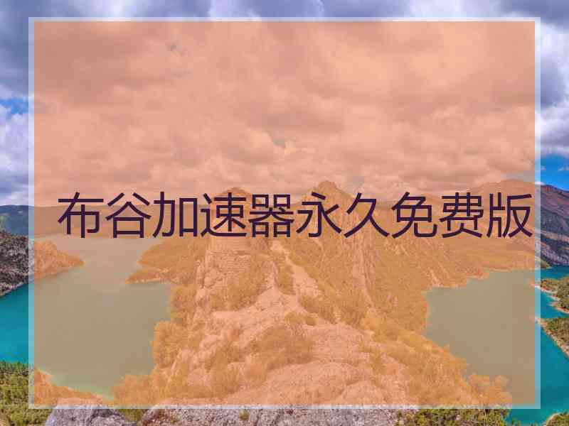 布谷加速器永久免费版