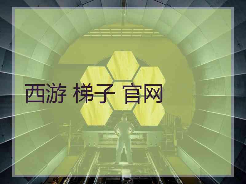 西游 梯子 官网