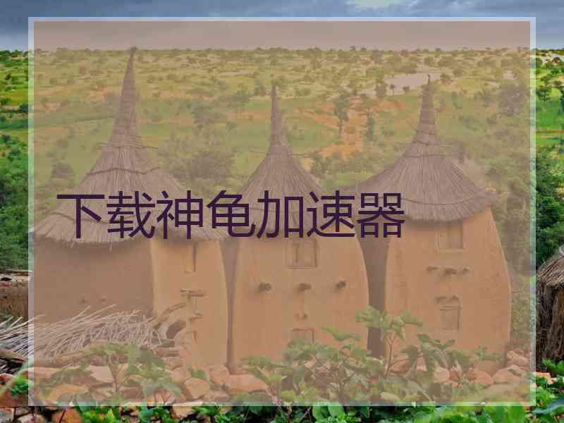 下载神龟加速器