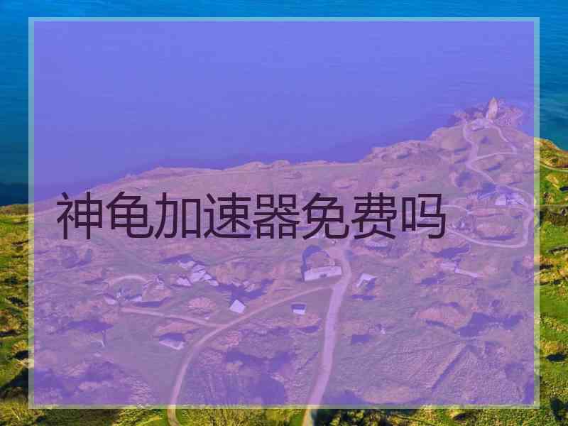 神龟加速器免费吗