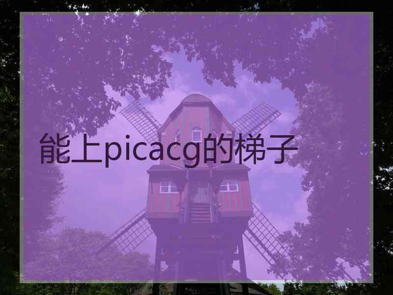 能上picacg的梯子