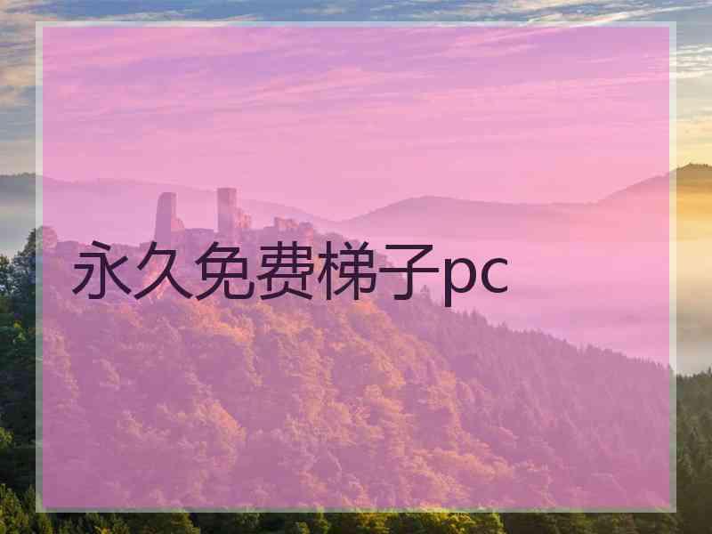 永久免费梯子pc