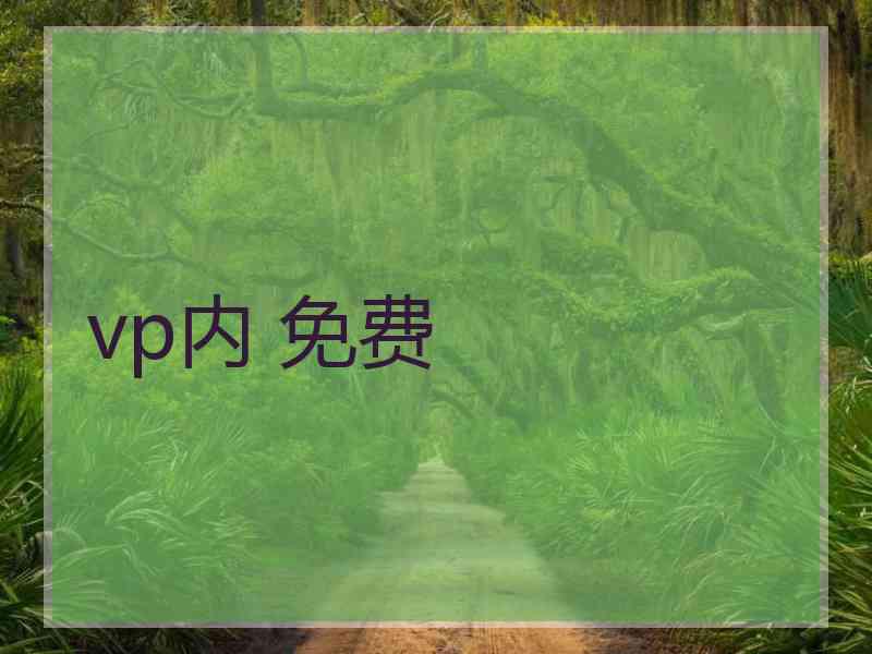 vp内 免费