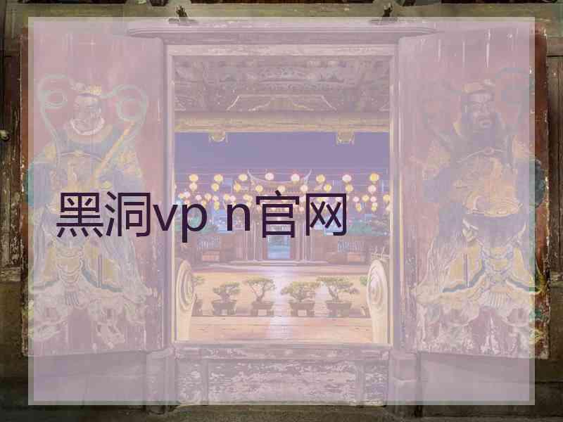 黑洞vp n官网
