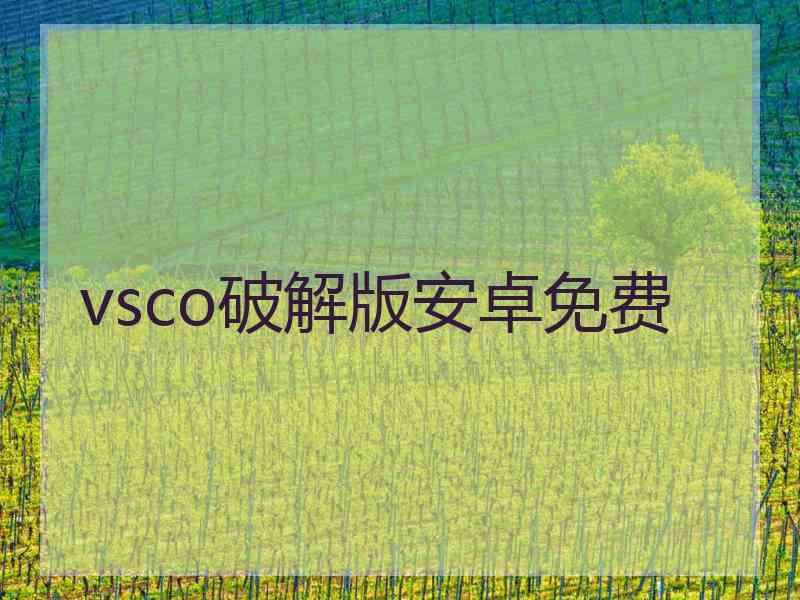 vsco破解版安卓免费