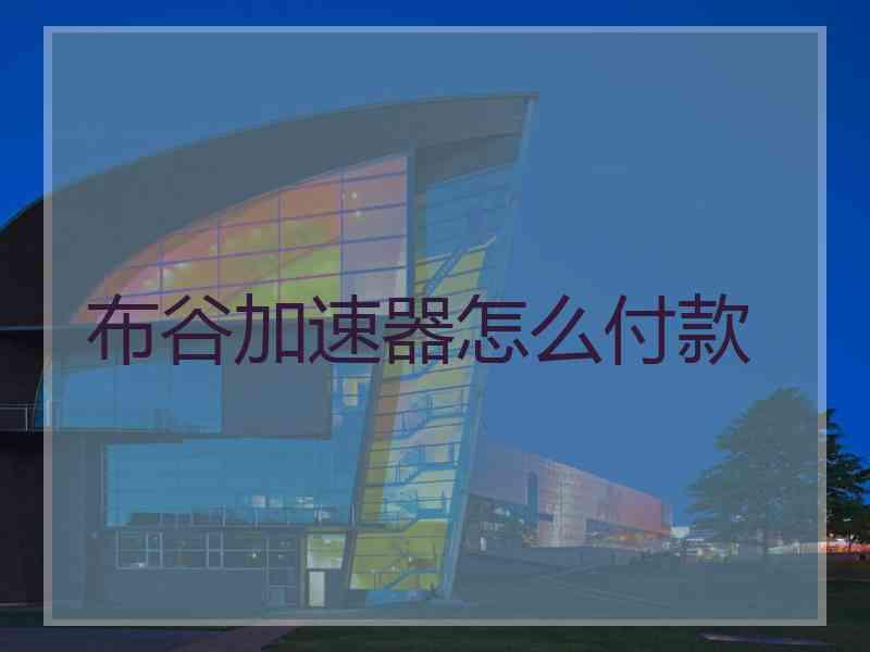 布谷加速器怎么付款