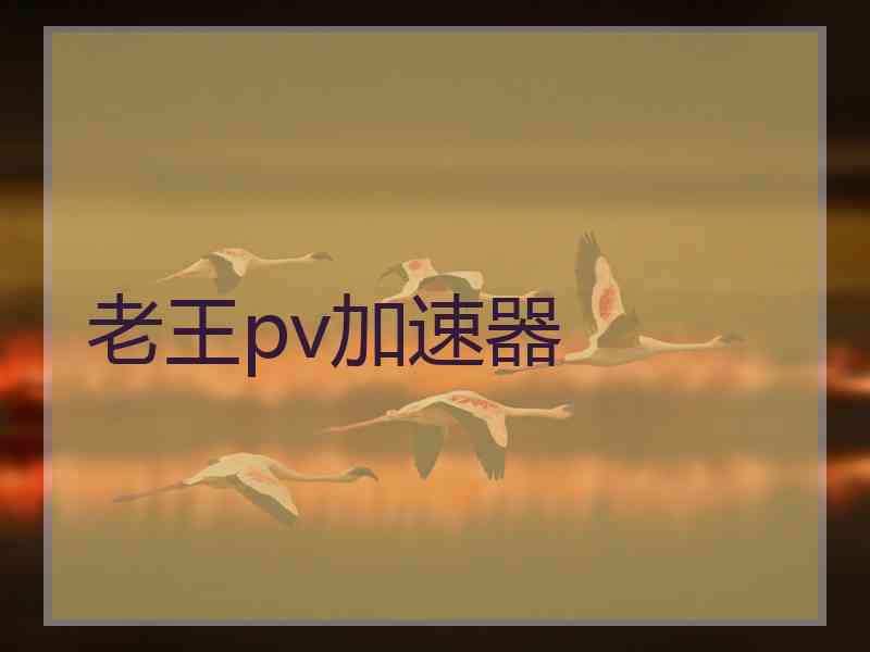 老王pv加速器