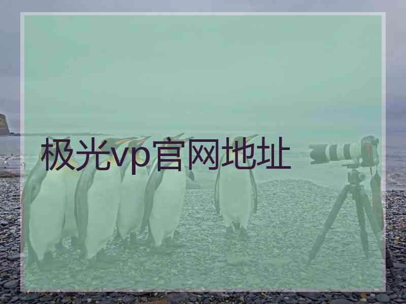 极光vp官网地址