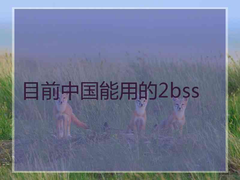 目前中国能用的2bss