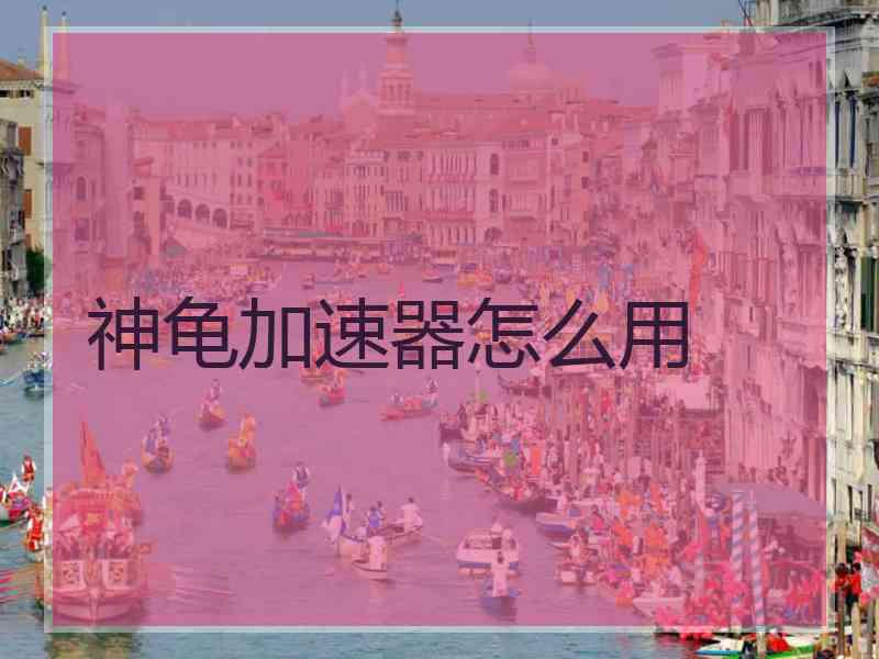 神龟加速器怎么用