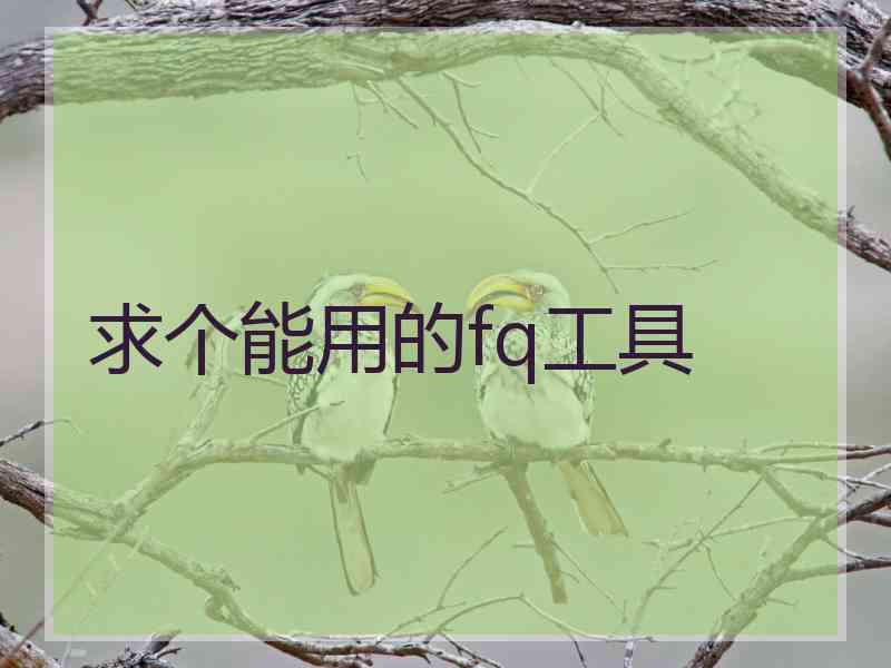 求个能用的fq工具