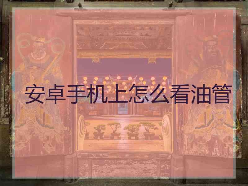 安卓手机上怎么看油管