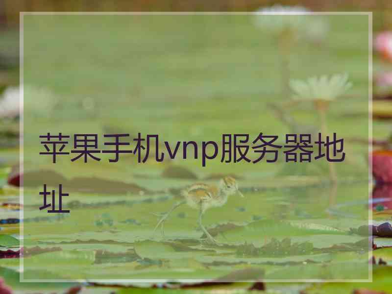 苹果手机vnp服务器地址