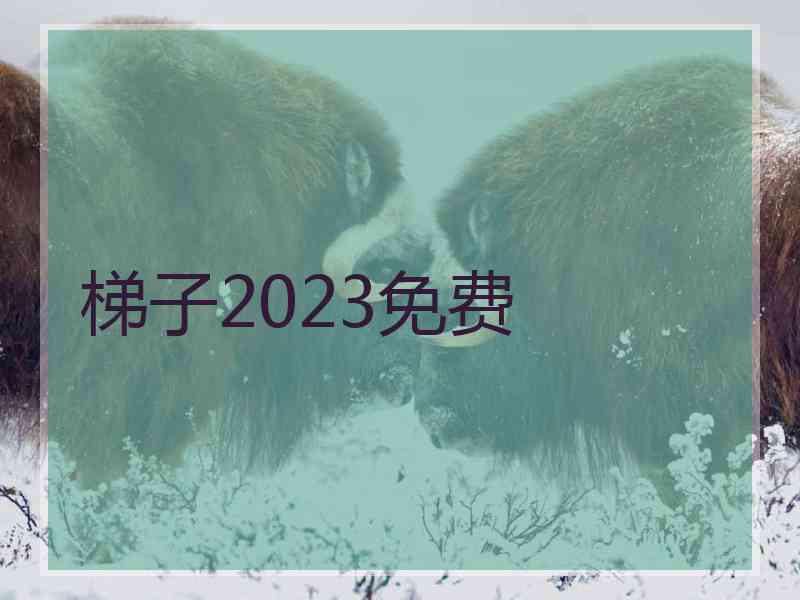 梯子2023免费