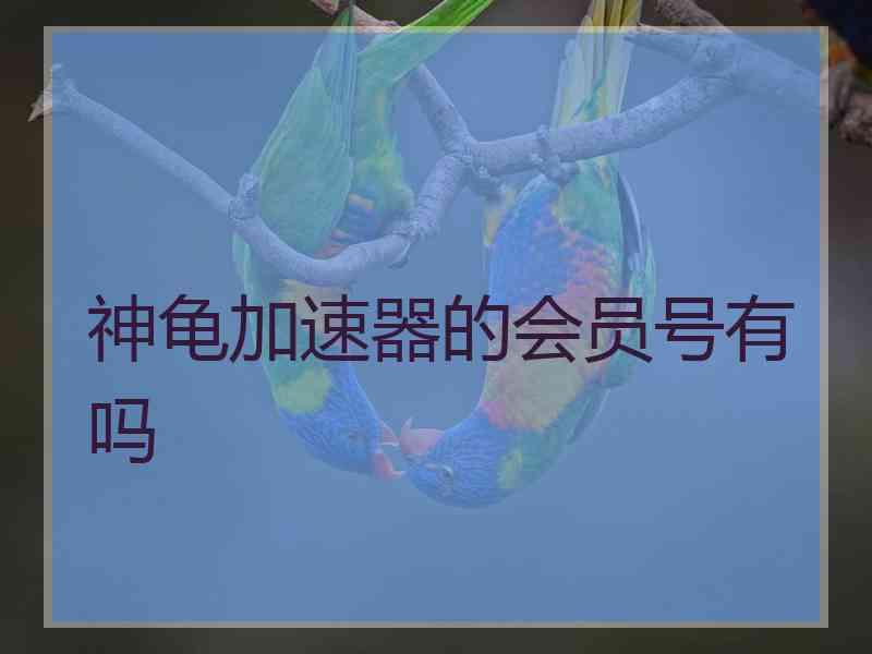 神龟加速器的会员号有吗