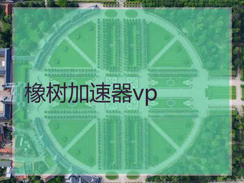 橡树加速器vp