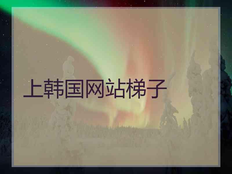 上韩国网站梯子
