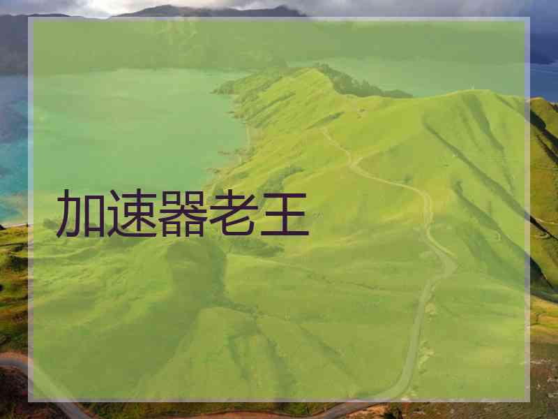 加速器老王