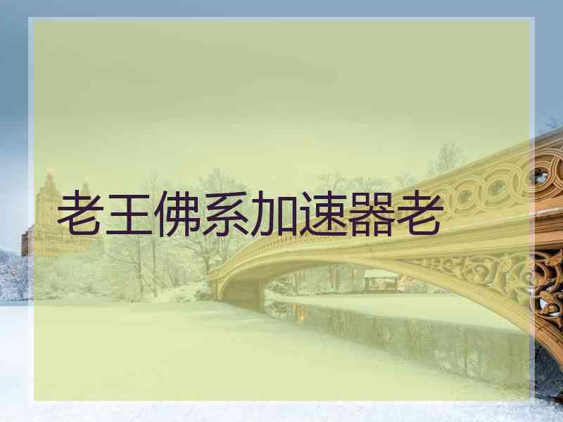 老王佛系加速器老