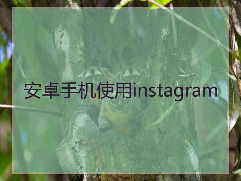 安卓手机使用instagram