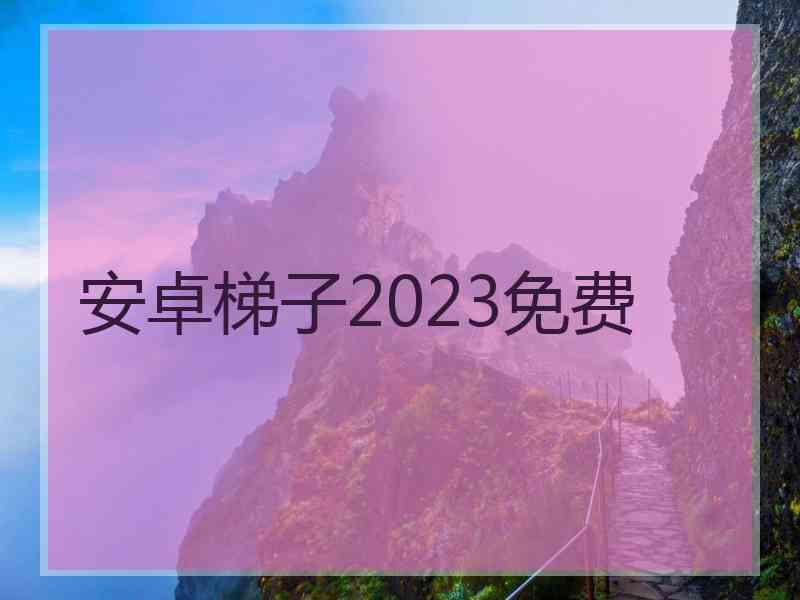 安卓梯子2023免费