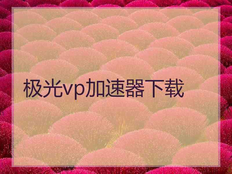 极光vp加速器下载