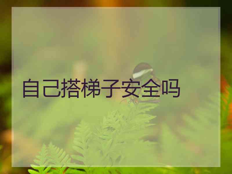 自己搭梯子安全吗