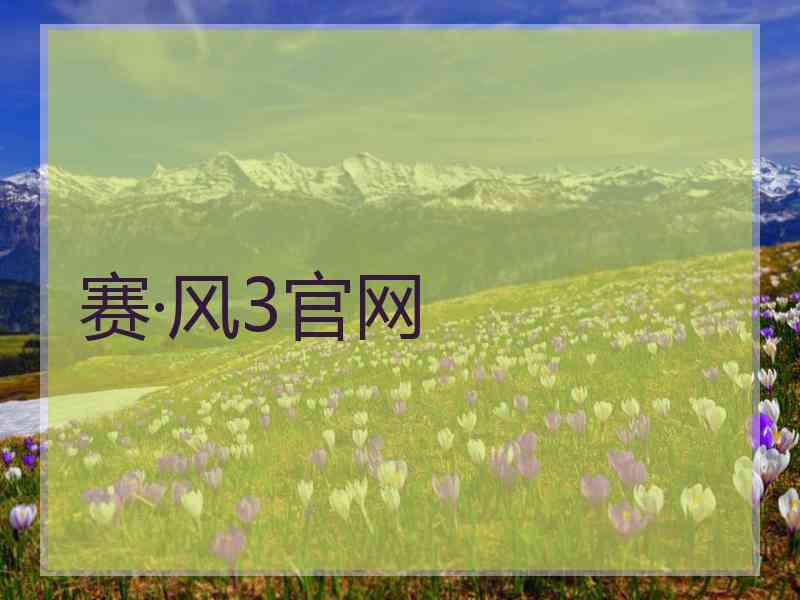 赛·风3官网