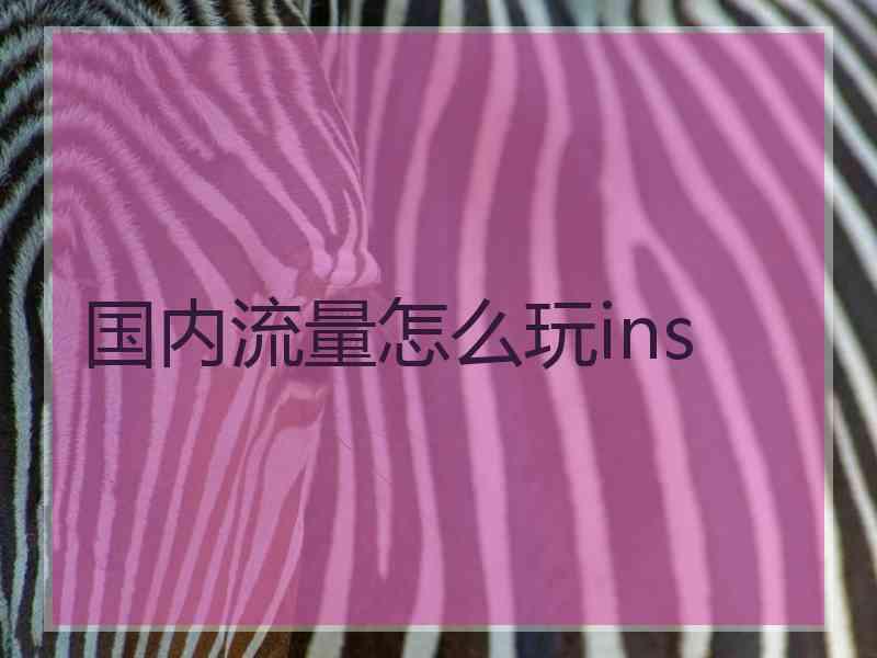 国内流量怎么玩ins