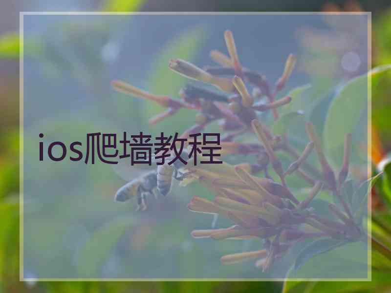 ios爬墙教程