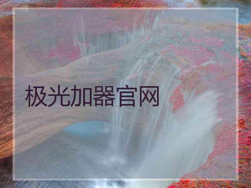 极光加器官网