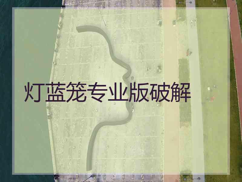 灯蓝笼专业版破解
