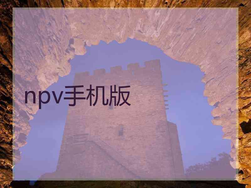 npv手机版