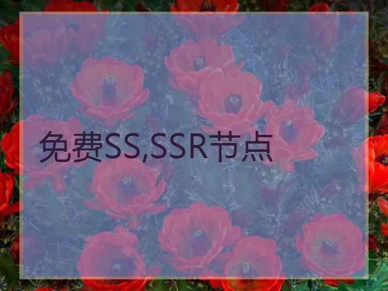 免费SS,SSR节点