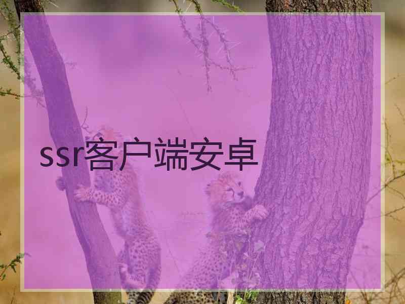 ssr客户端安卓