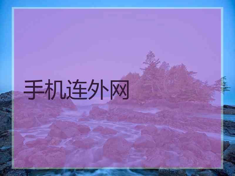 手机连外网
