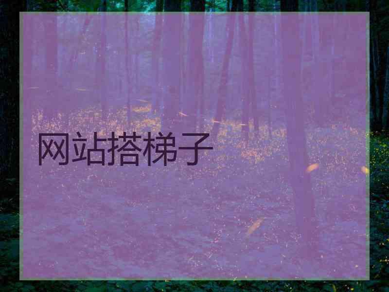 网站搭梯子