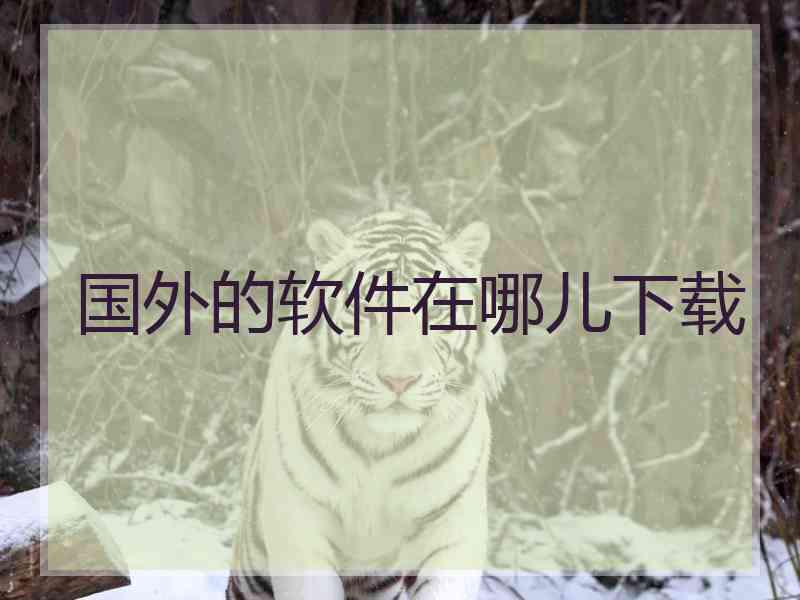 国外的软件在哪儿下载