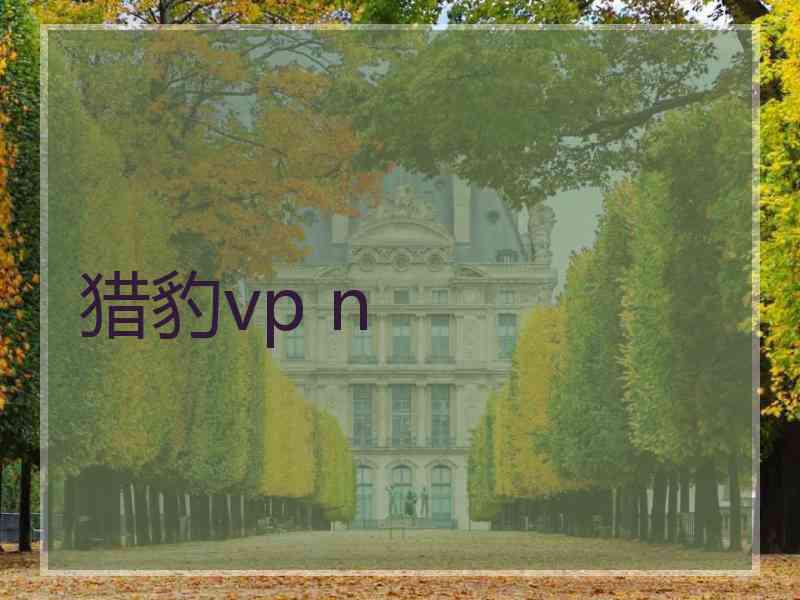 猎豹vp n