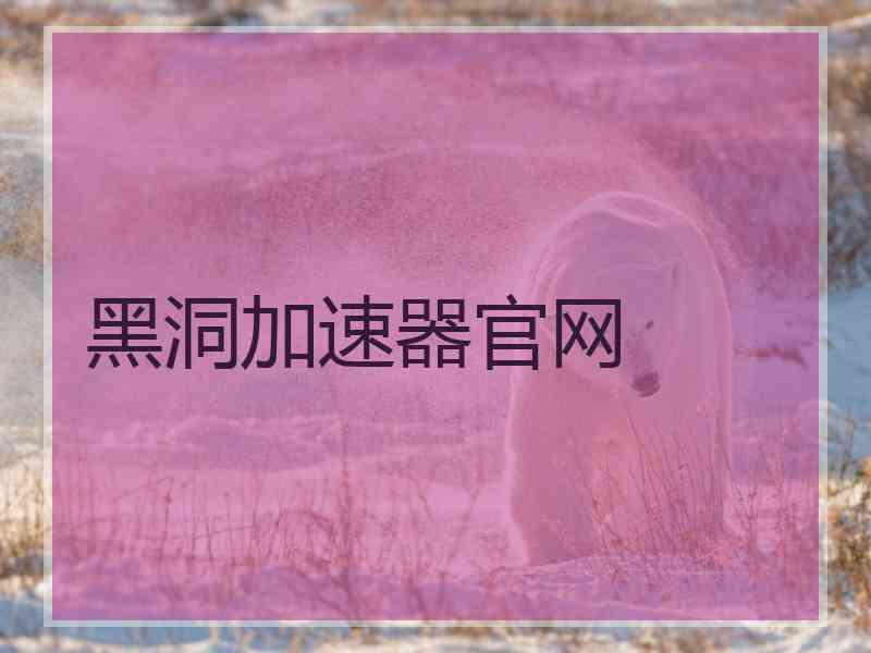 黑洞加速器官网