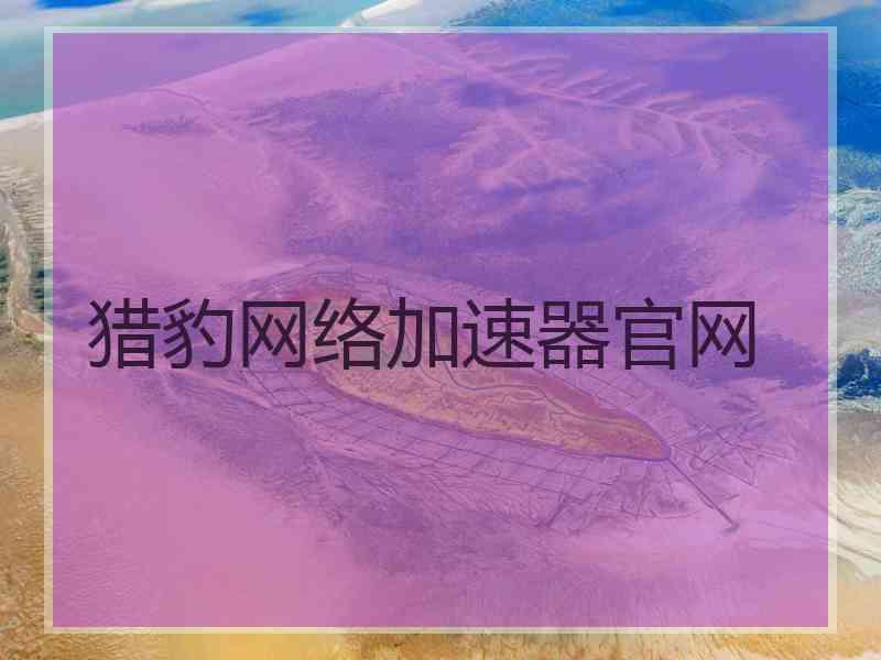猎豹网络加速器官网