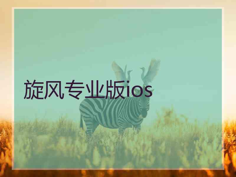 旋风专业版ios