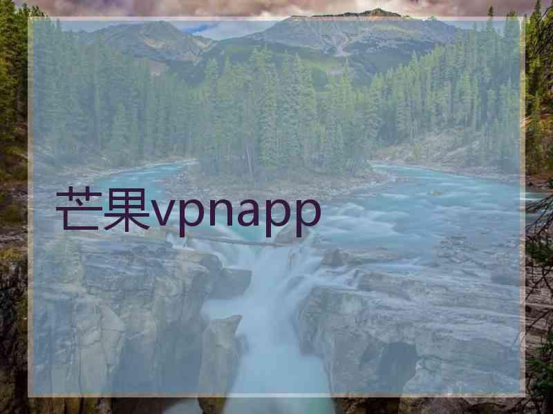 芒果vpnapp