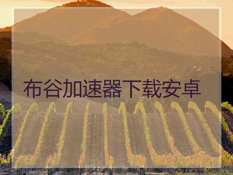 布谷加速器下载安卓