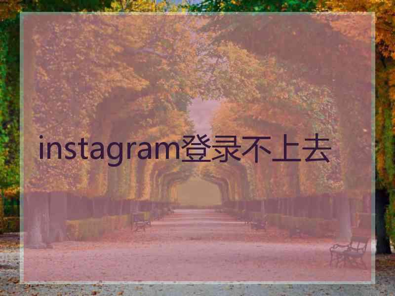 instagram登录不上去