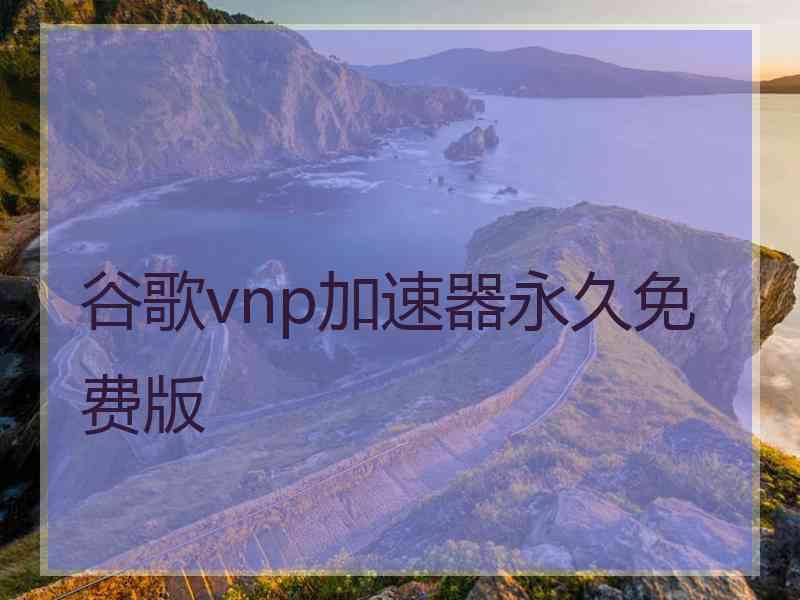 谷歌vnp加速器永久免费版